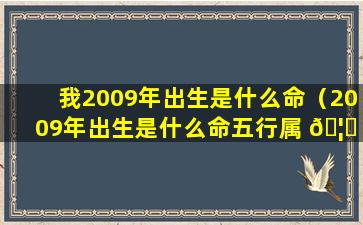 我2009年出生是什么命（2009年出生是什么命五行属 🦈 什么属性）